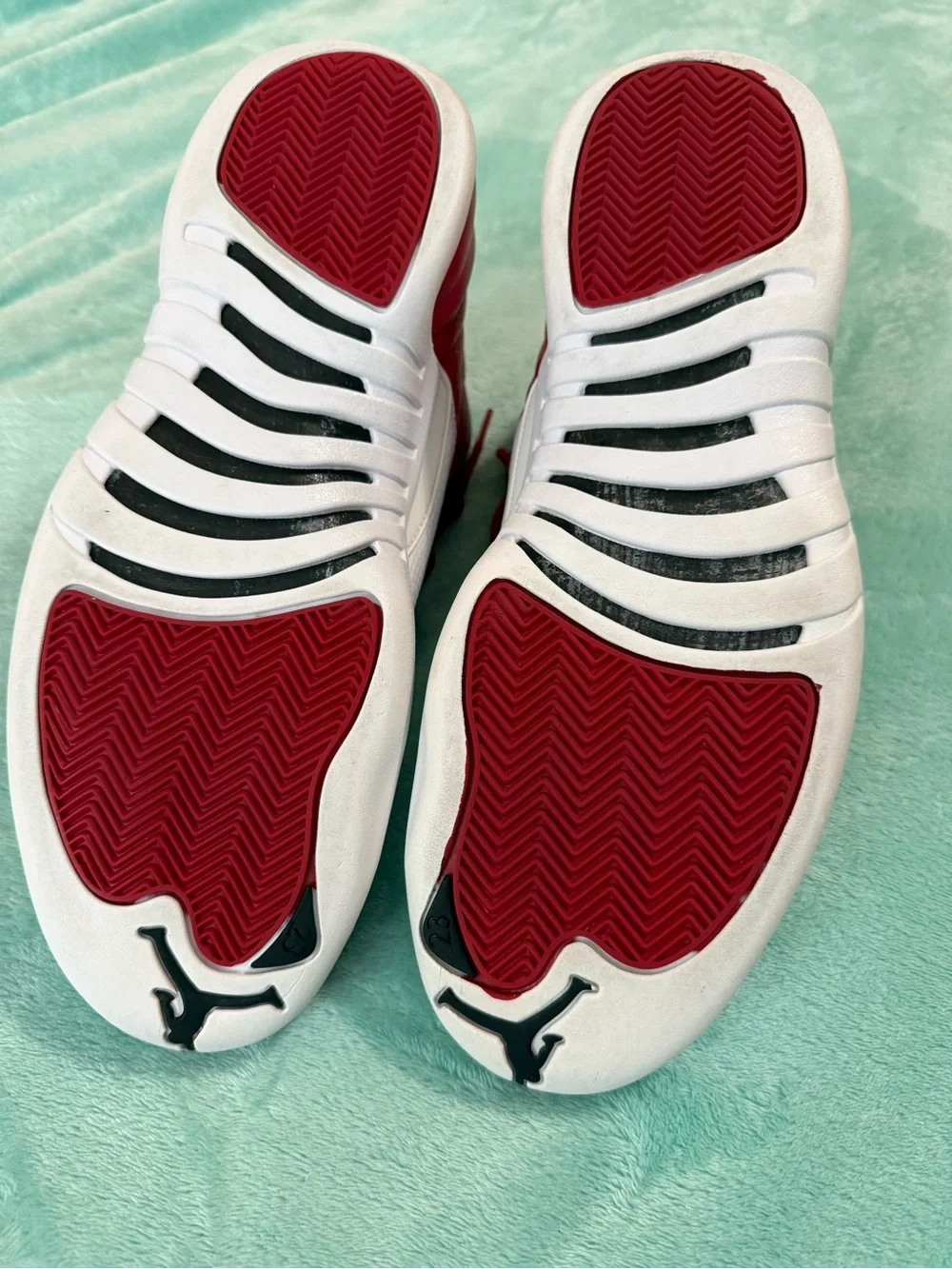 Air Jordan 12 Retro 